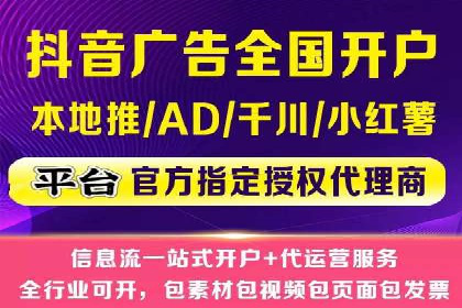 SEM搜索引擎优化策略解析与应用案例